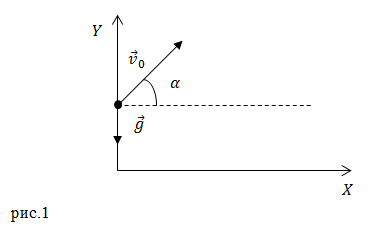 тело брошенное под углом к горизонту, рисунок 1