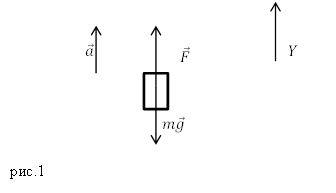 Единицы измерения массы, пример 1
