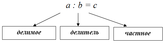 Частно 5 Фото